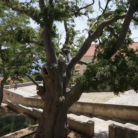 With Parking Space Sali, Dugi Otok - 8137 Appartement